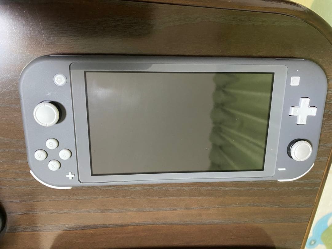 Nintendo Switch Lite グレー 本体美品2023/9/29購入