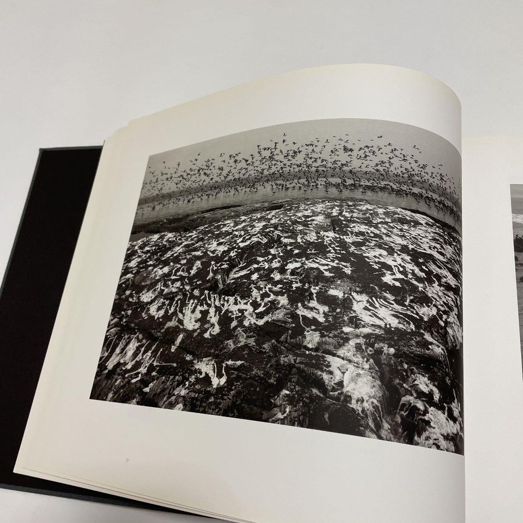 アート・デザイン・音楽 here far away / pentti sammallahti