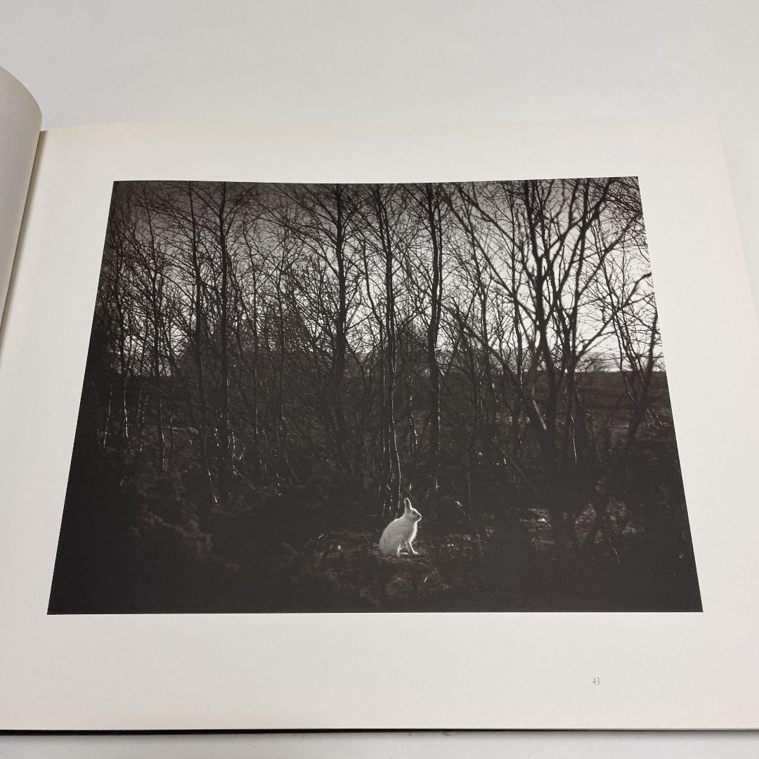 アート・デザイン・音楽 here far away / pentti sammallahti