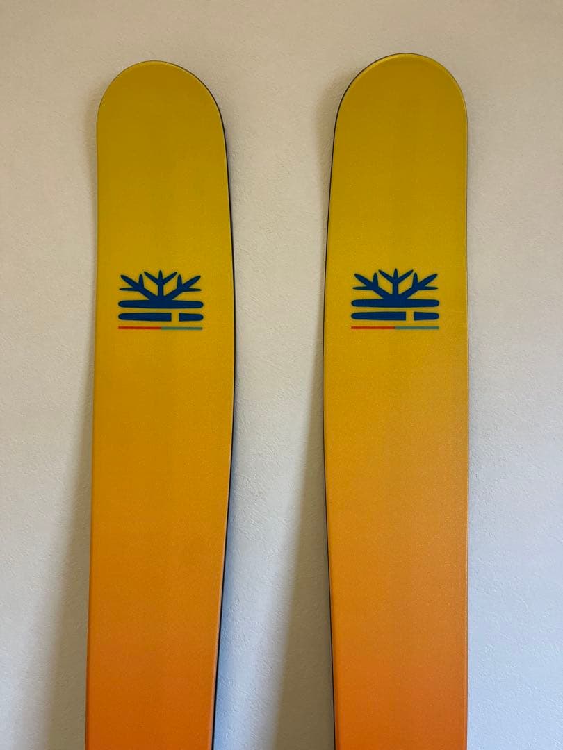 スキー dps WAILER F112