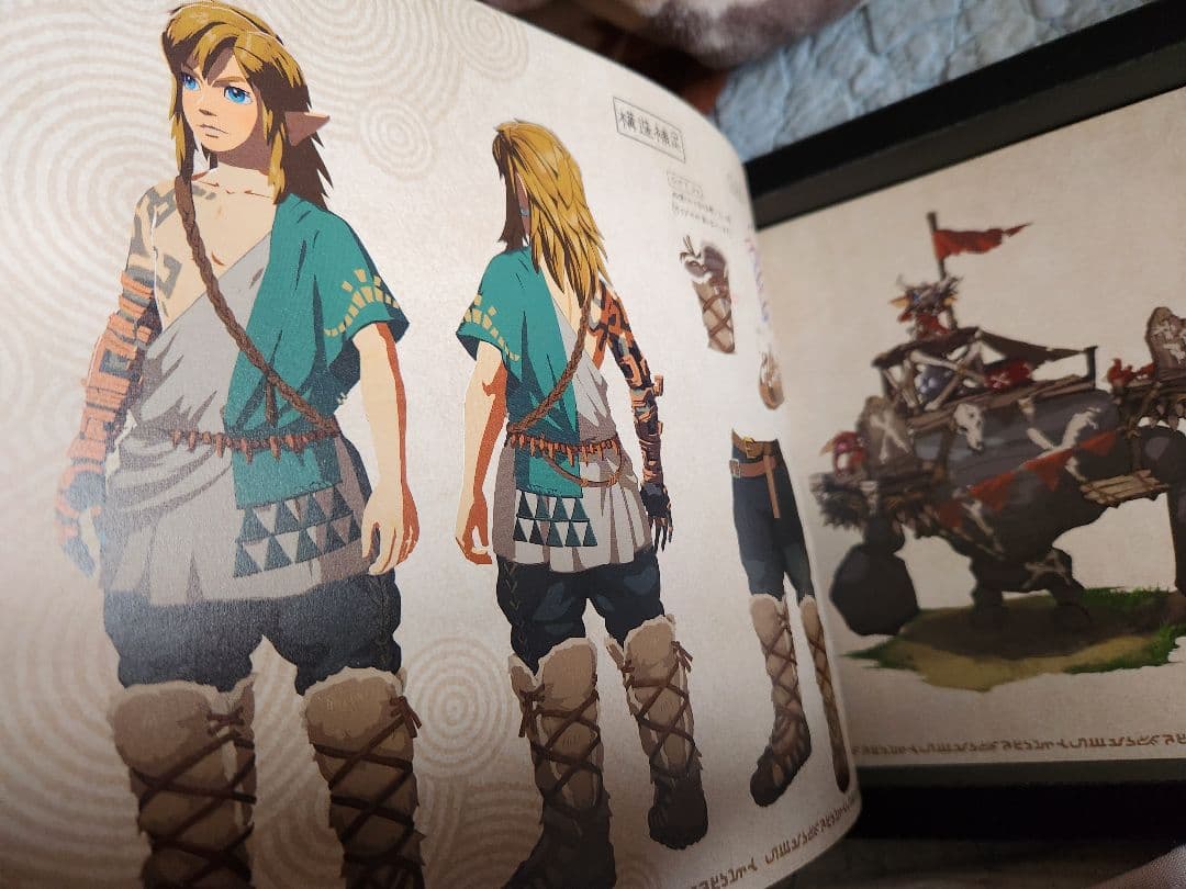 【動作良好】ゼルダの伝説 ティアーズオブザキングダム コレクターズエディション