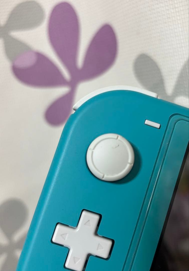 任天堂スイッチライト ソフト2個セット Nintendo Switch lite