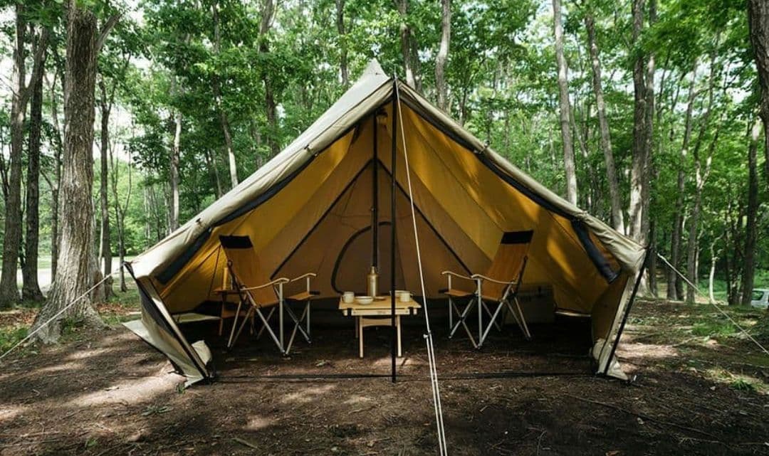 【ボッスン】新品 サバティカルモーニンググローリーTC