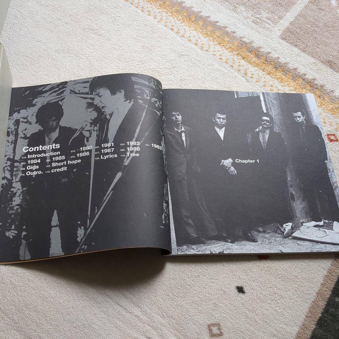 邦楽 THE ROOSTERS virus security