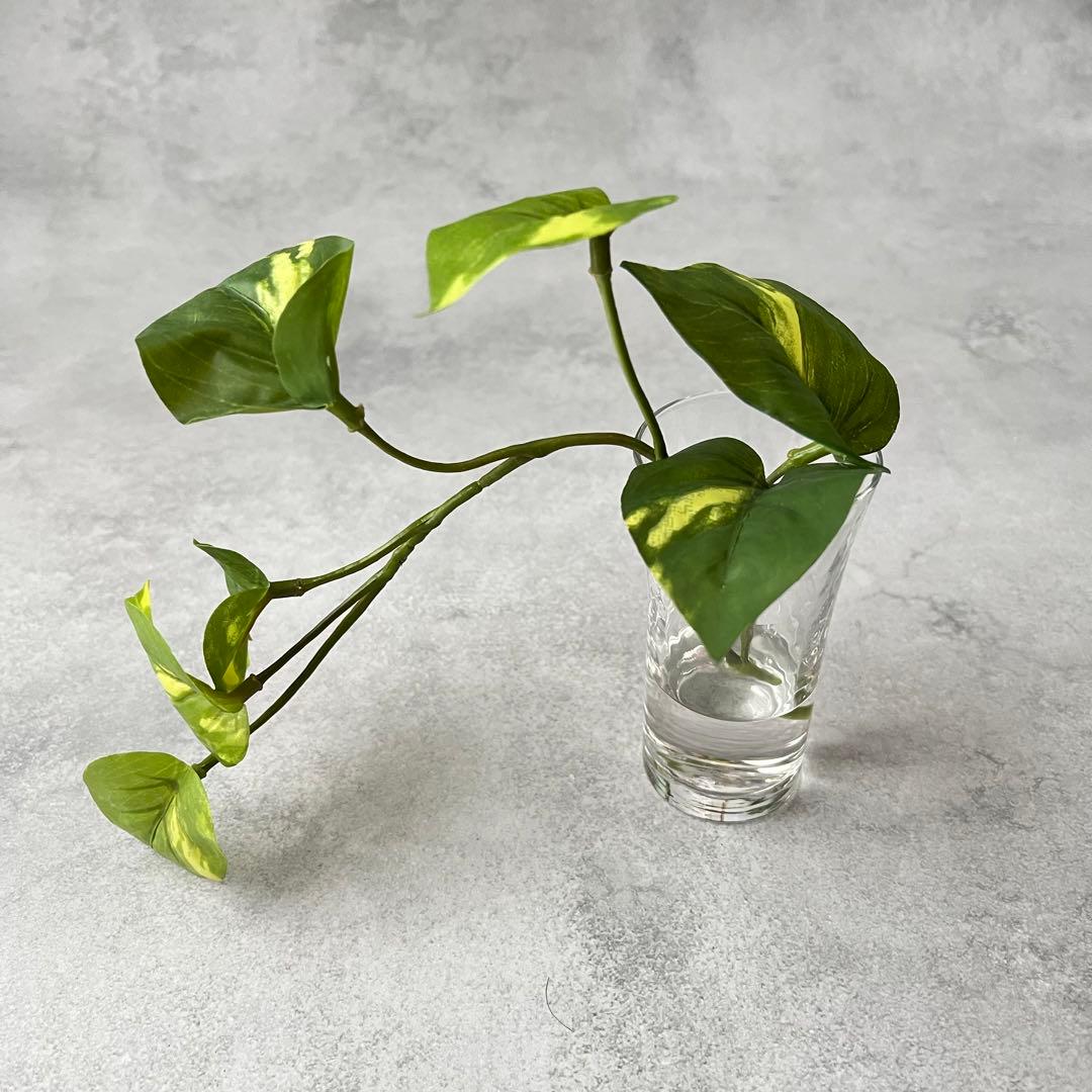 【専用】　おまとめ4点　フラワーリース/ウォーターアレンジメント