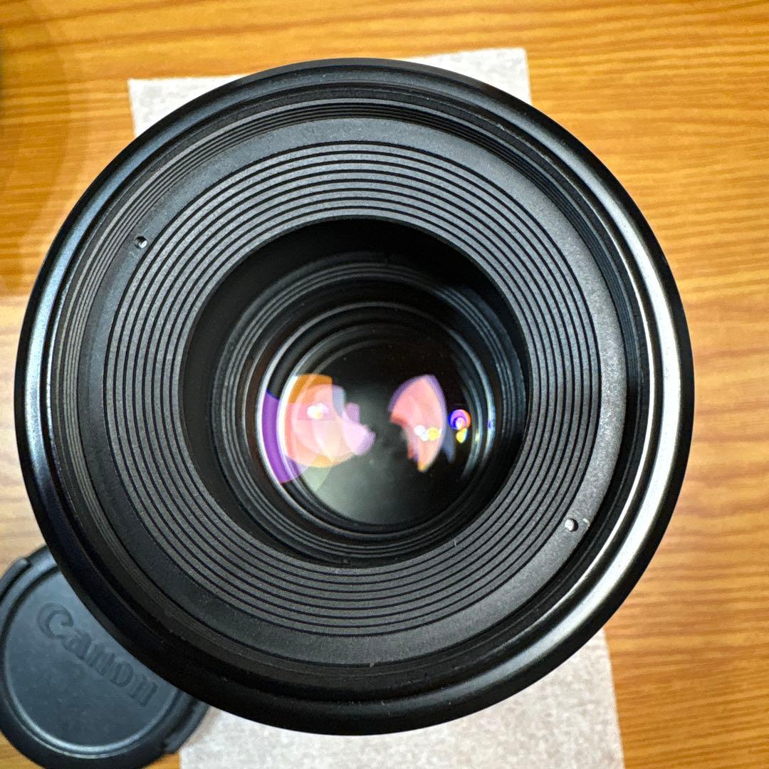 Canon EF 100mm f/2.8 マクロレンズ　　撮影見本画像あり