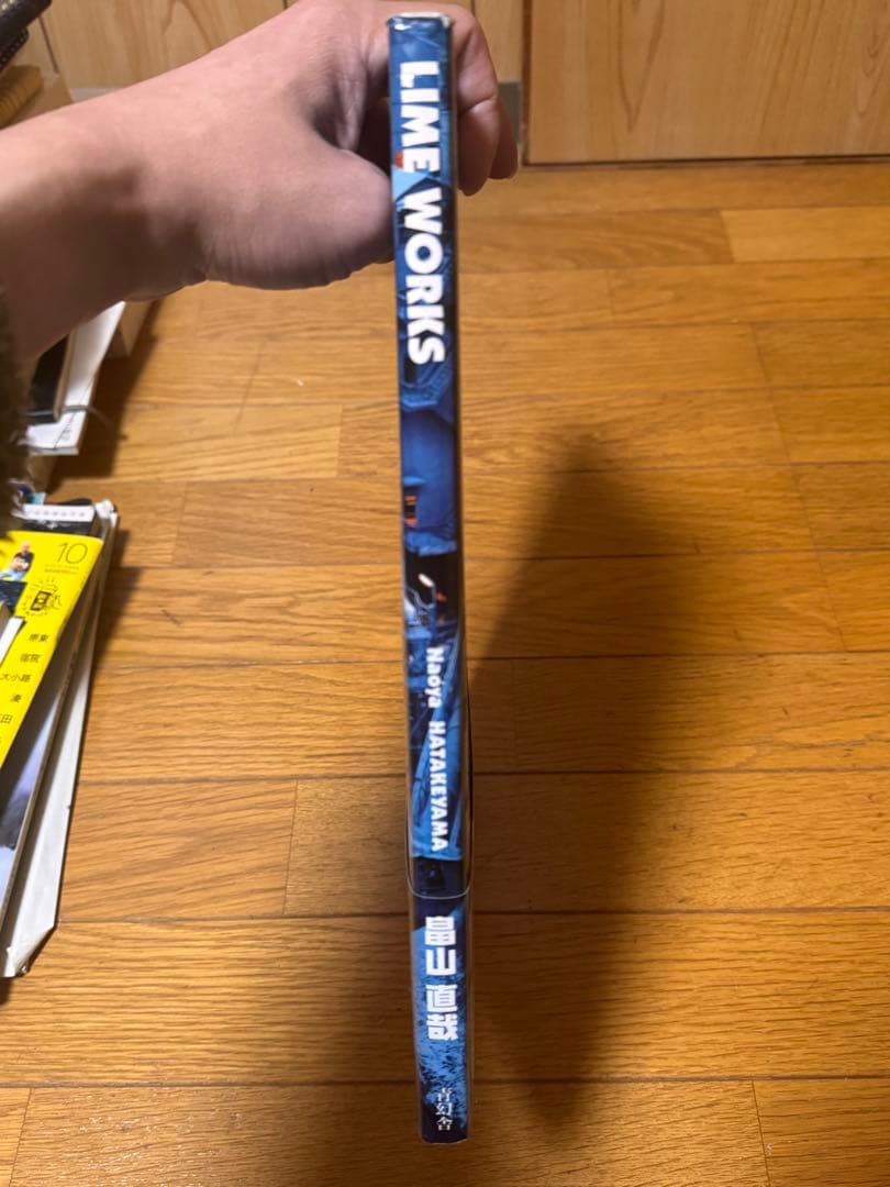 LIME WORKS（ライムワークス）NAOYA HATAKEYAMA 畠山直哉