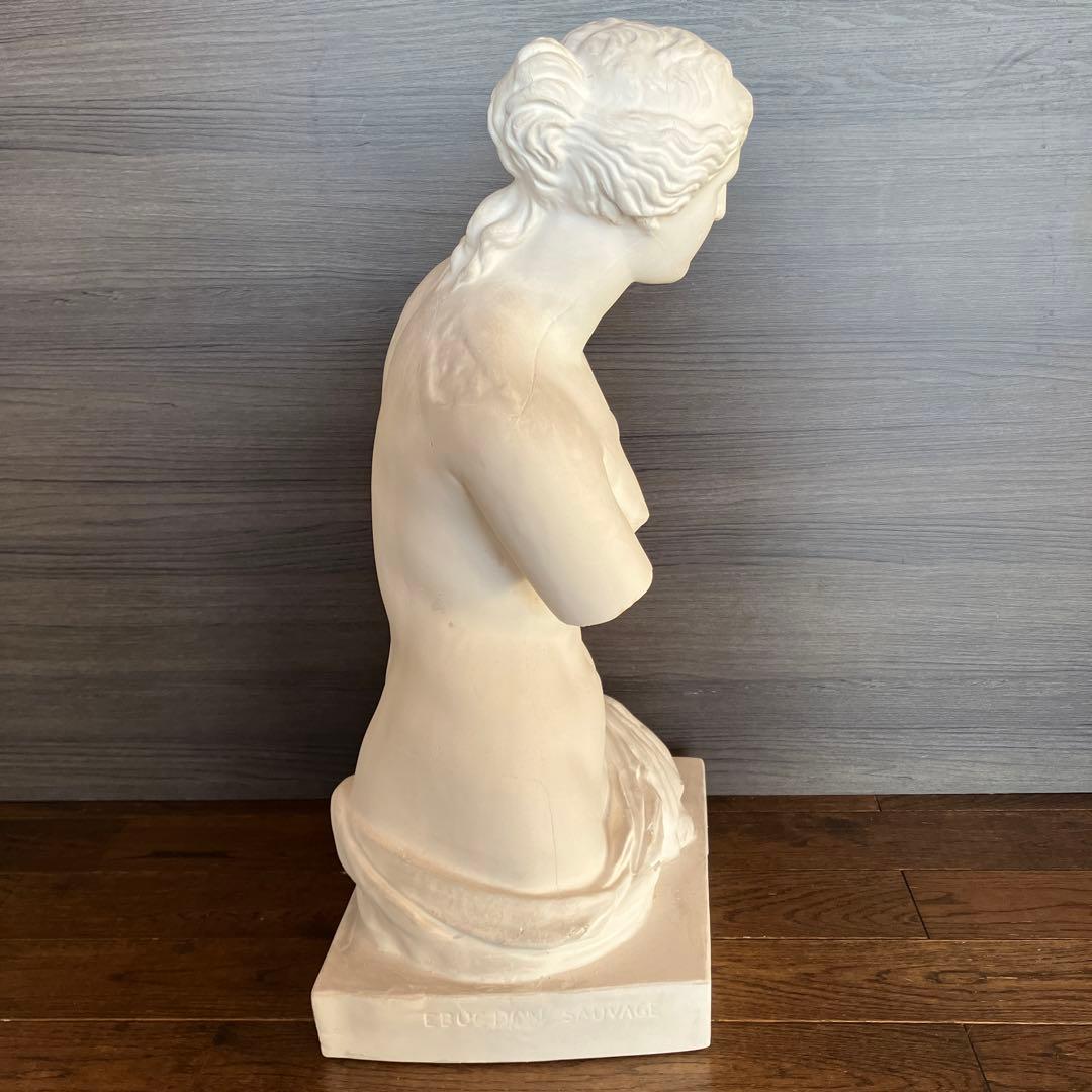 石膏像　ミロのヴィーナス　半身像