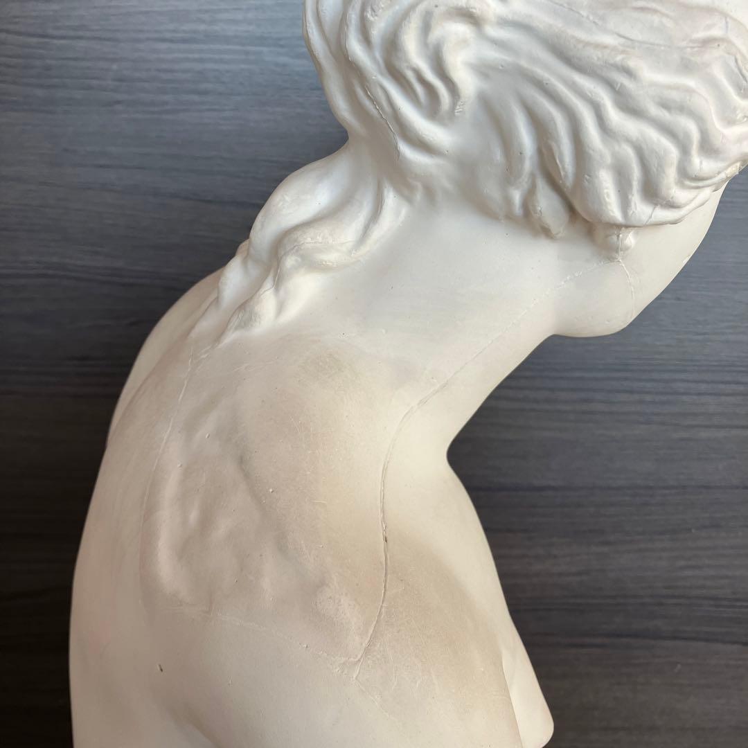 石膏像　ミロのヴィーナス　半身像