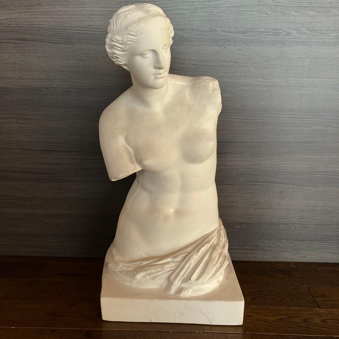 石膏像　ミロのヴィーナス　半身像