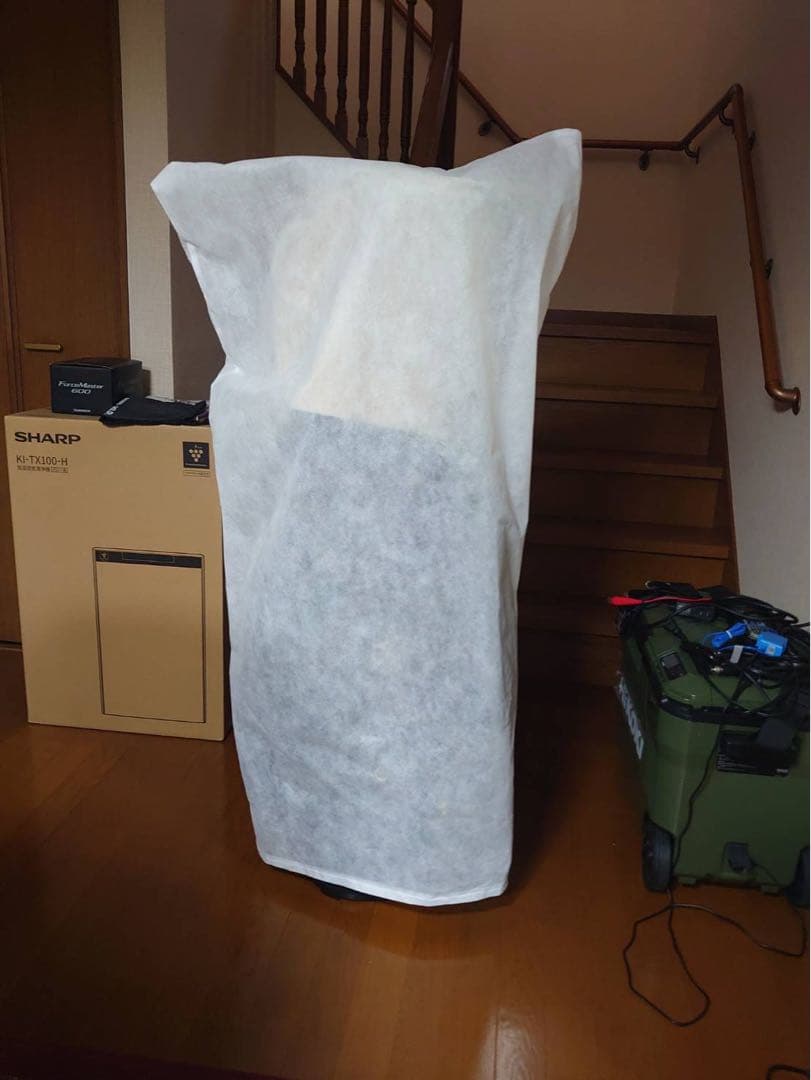 新品　CB3442 2036713 MAJESTY 9.5型　限定生産　象