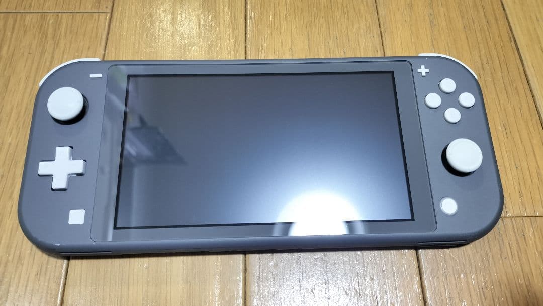 【値下げ】Nintendo Switch Lite グレー ケース付き