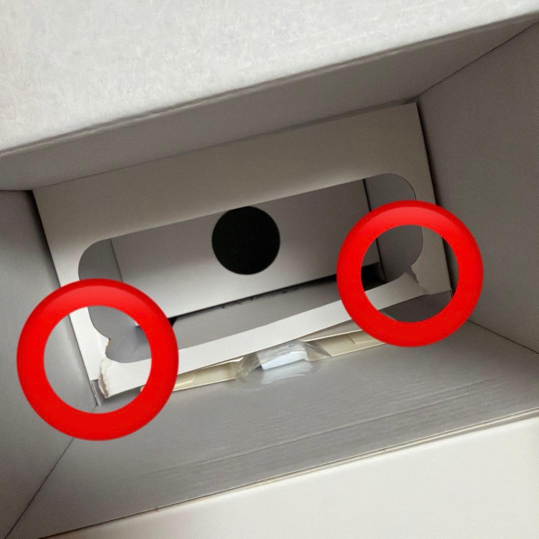 aespa official fanlight Ver2 ペンライト・ストラップ