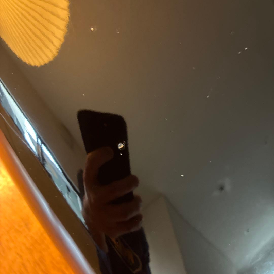 ハーレー スポーツスター ラージ タンク スポタン