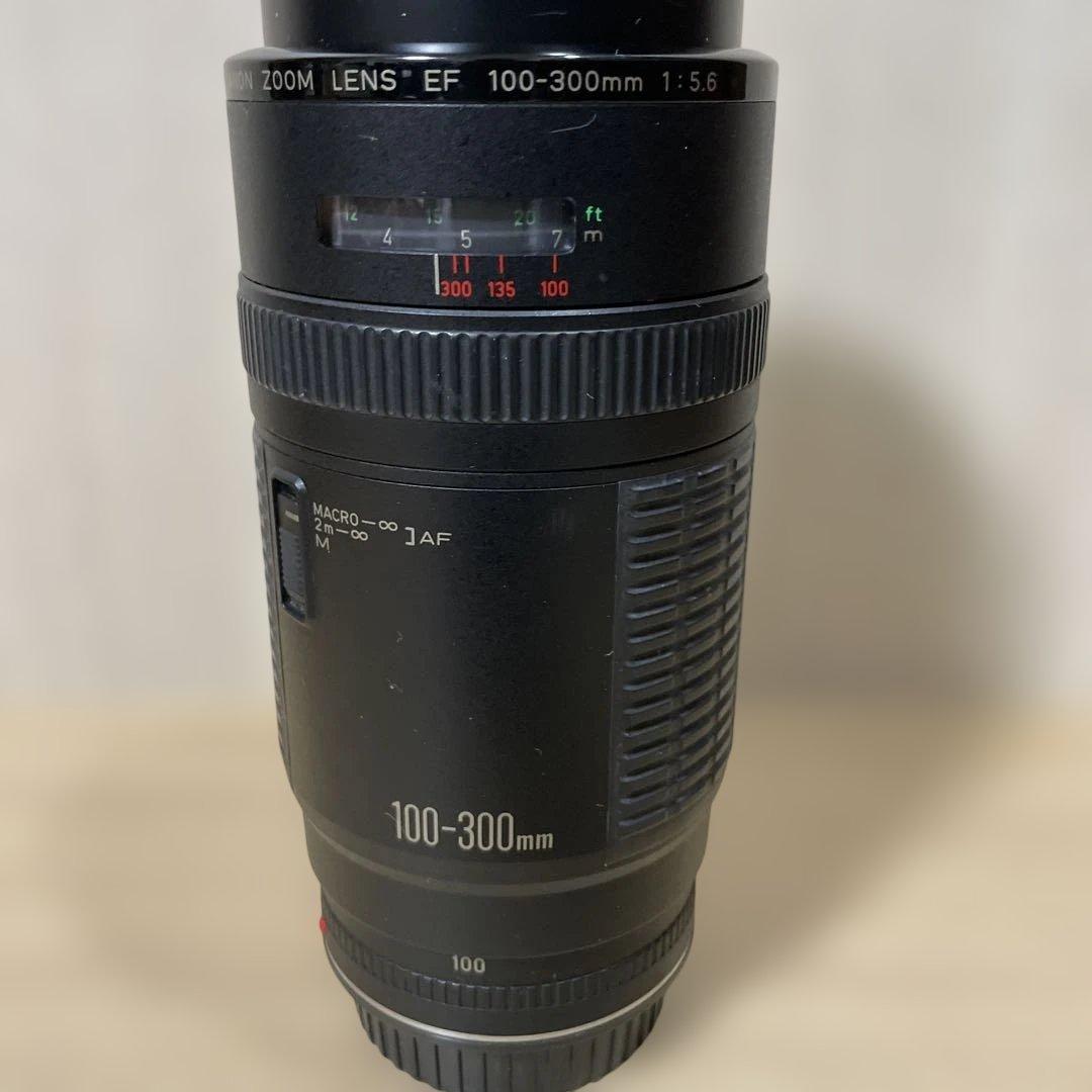 Canon EF 100-300mm f/5.6 ズームレンズ
