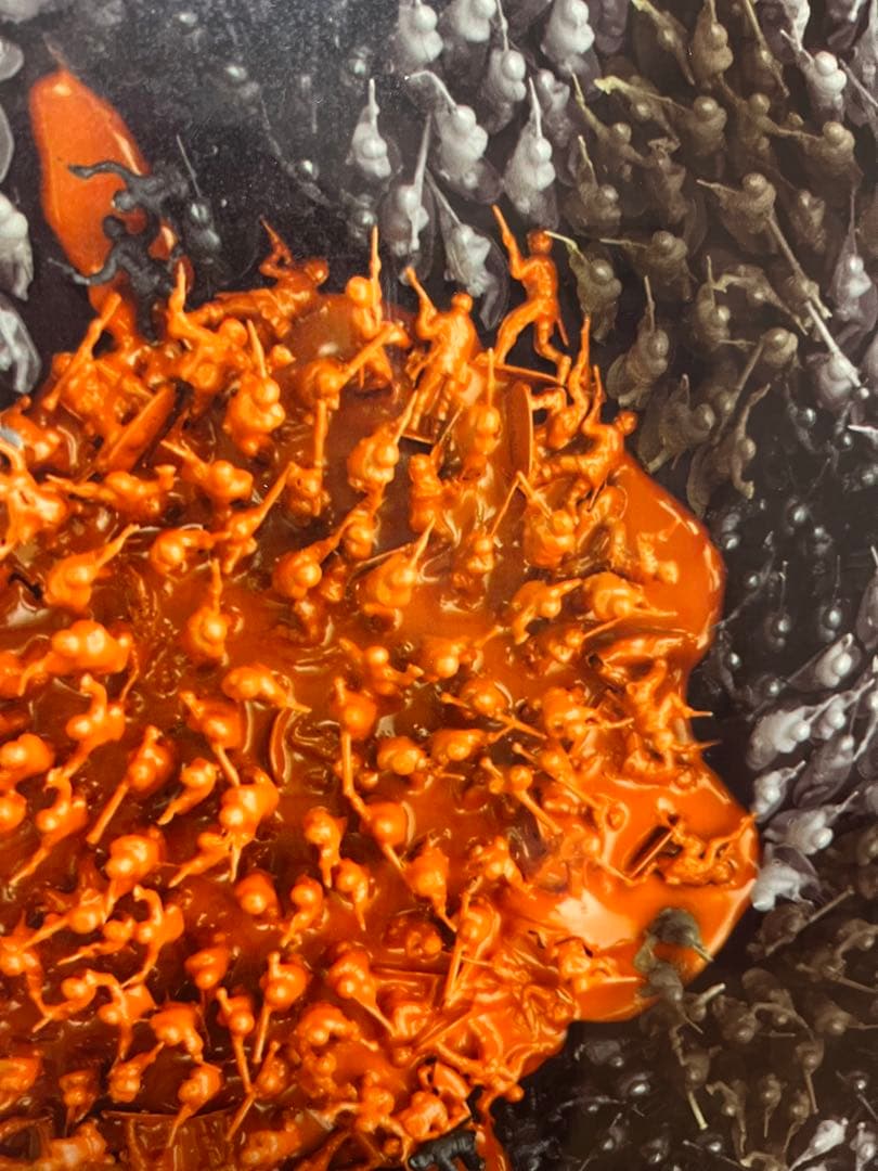 SALOMON Sabotage 154cm スノーボード 板　軍隊