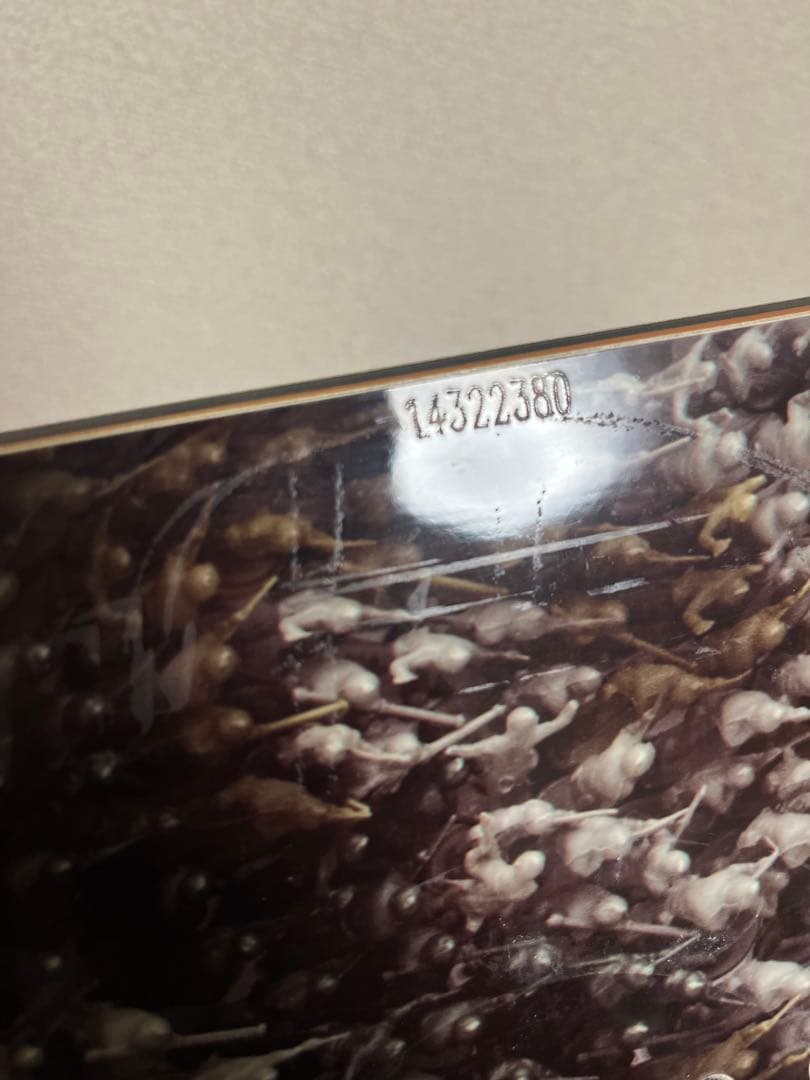 SALOMON Sabotage 154cm スノーボード 板　軍隊