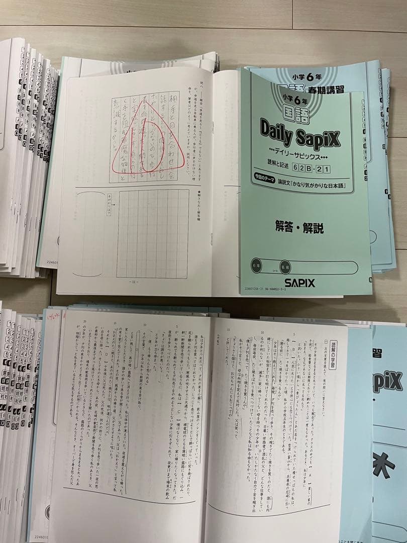 サピックス　SAPIX　6年　国語　テキスト1年分　2024年度版
