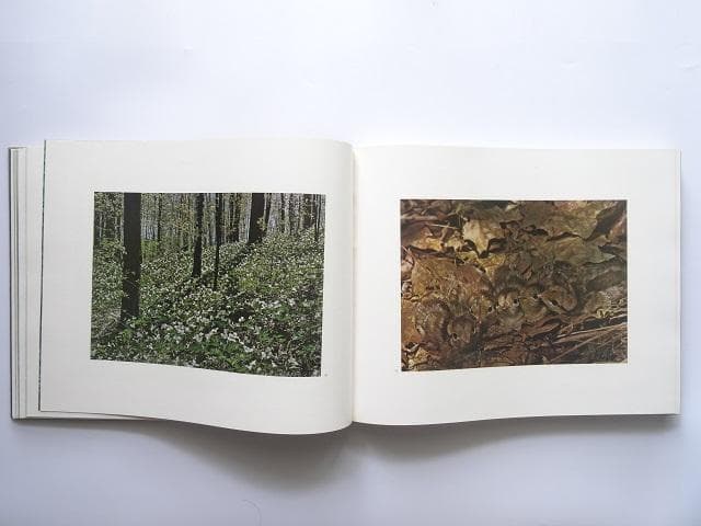 洋書◆カナダの1年写真集 本 風景 景色 自然