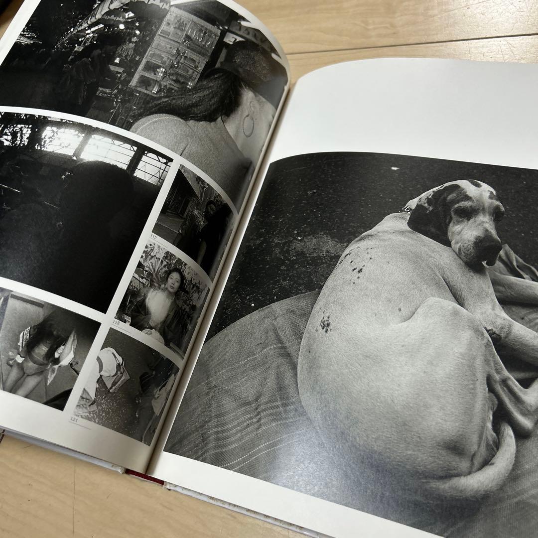 須田一政　人間の記憶