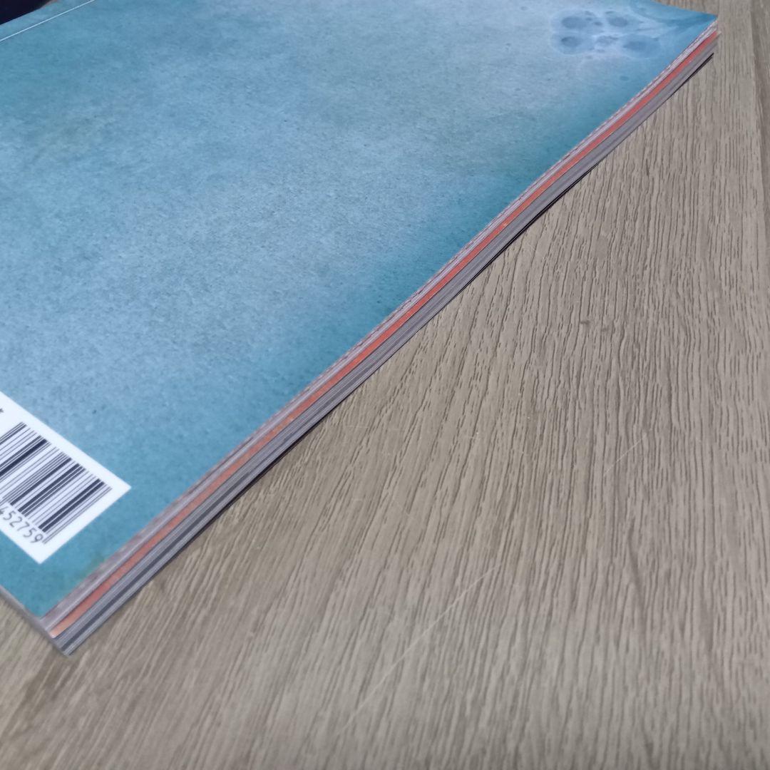 新撰組黙秘録 血魂録勿忘草 ファンブック 花天月地 清花明月