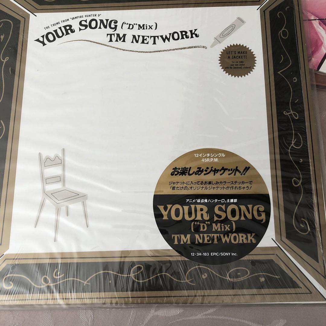 TM NETWORK レコードセット 自己制御とヒューマンシステム