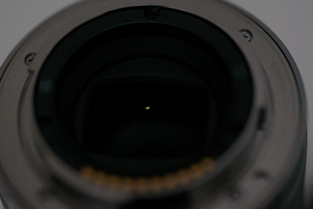 Sony E30mm F3.5 Macro レンズ