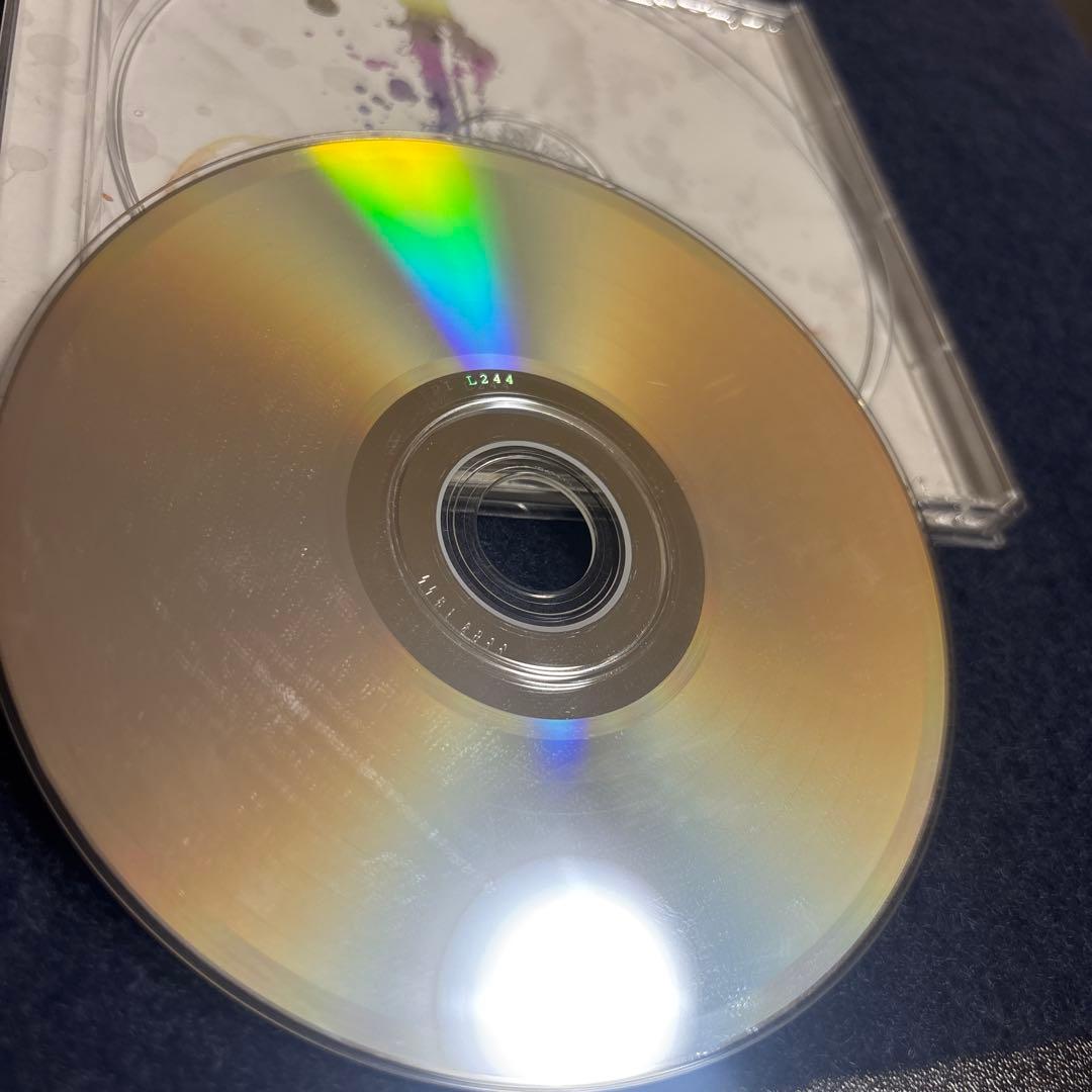 Colors Forest まもも家