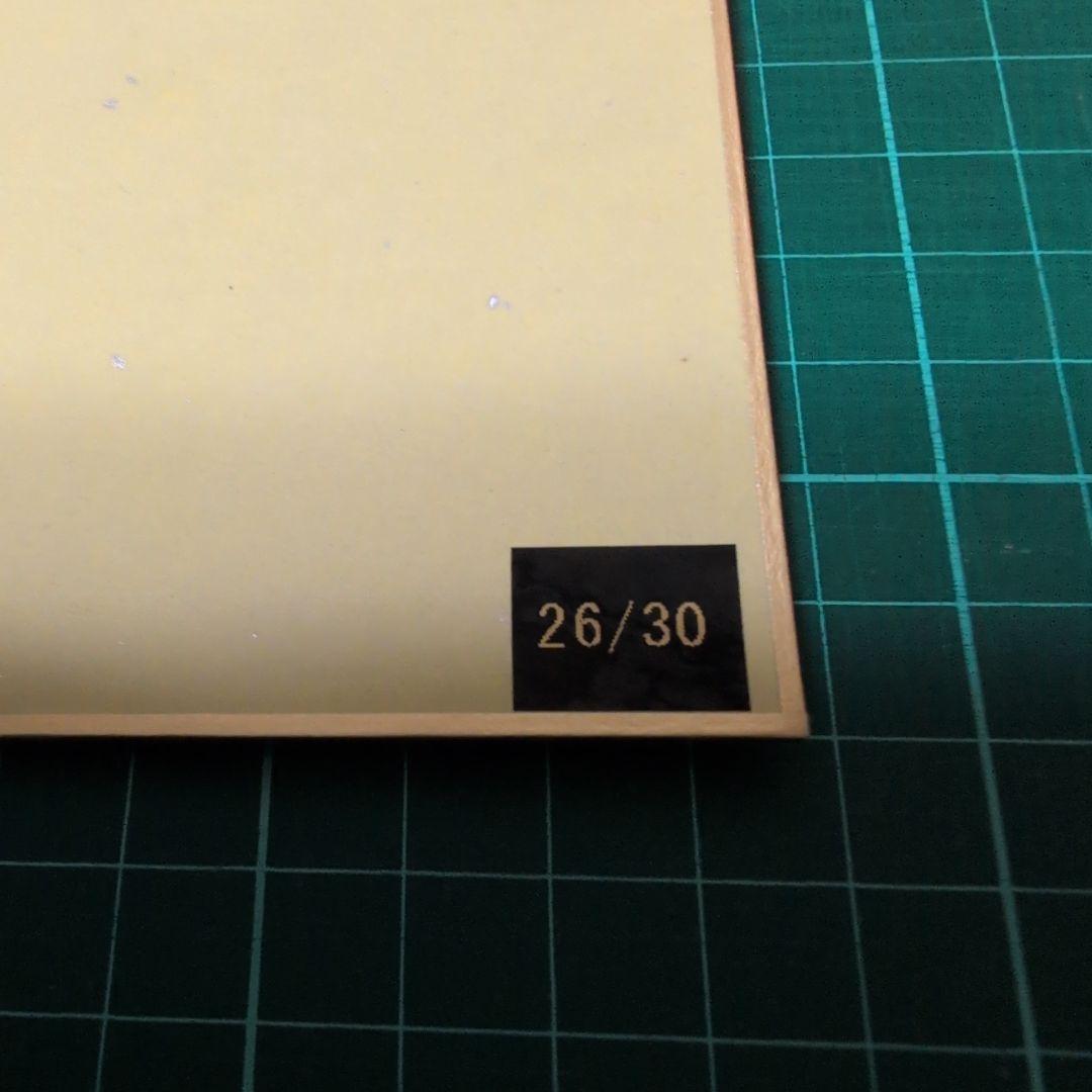 西武ライオンズ 今井達也選手グッズ2点セット