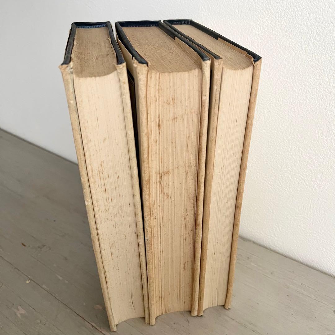 再値下げ❗️希少 カール・マルクス 剰余価値理論1〜3 3冊set ハードカバー