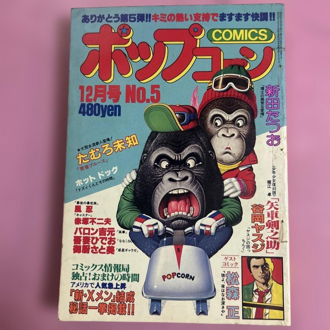 ポップコーン　No.5