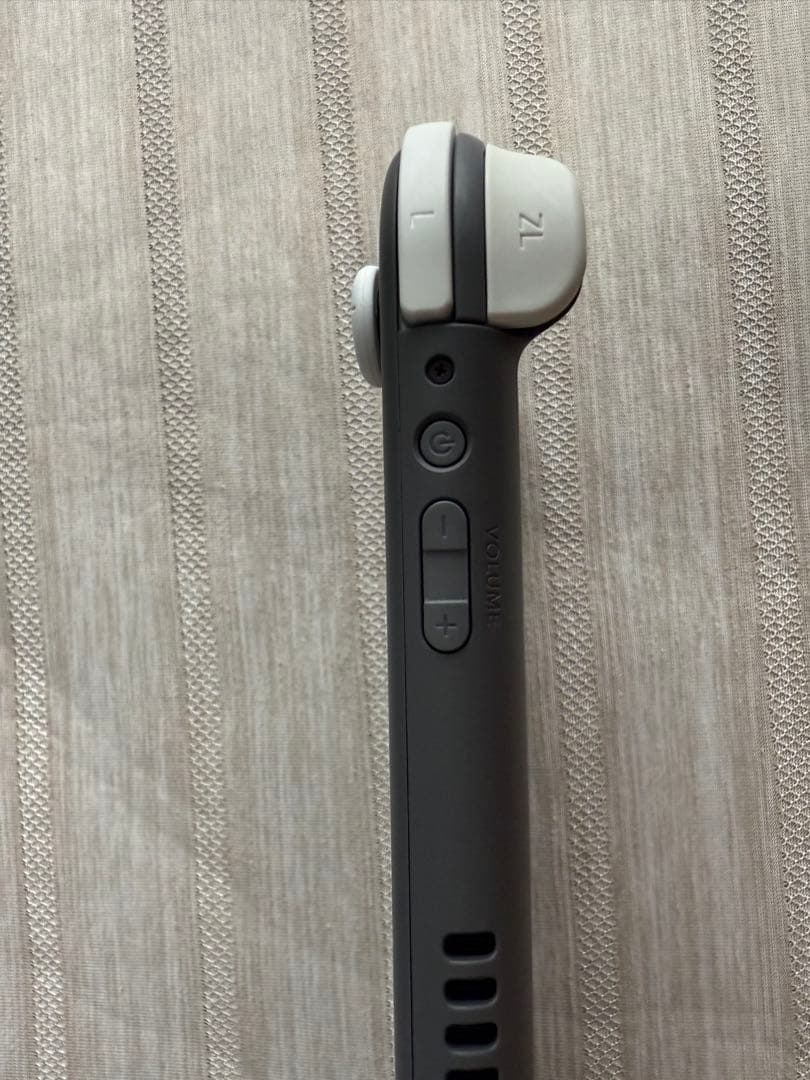 Nintendo Switch Lite グレー 本体　美品　　おまけつき