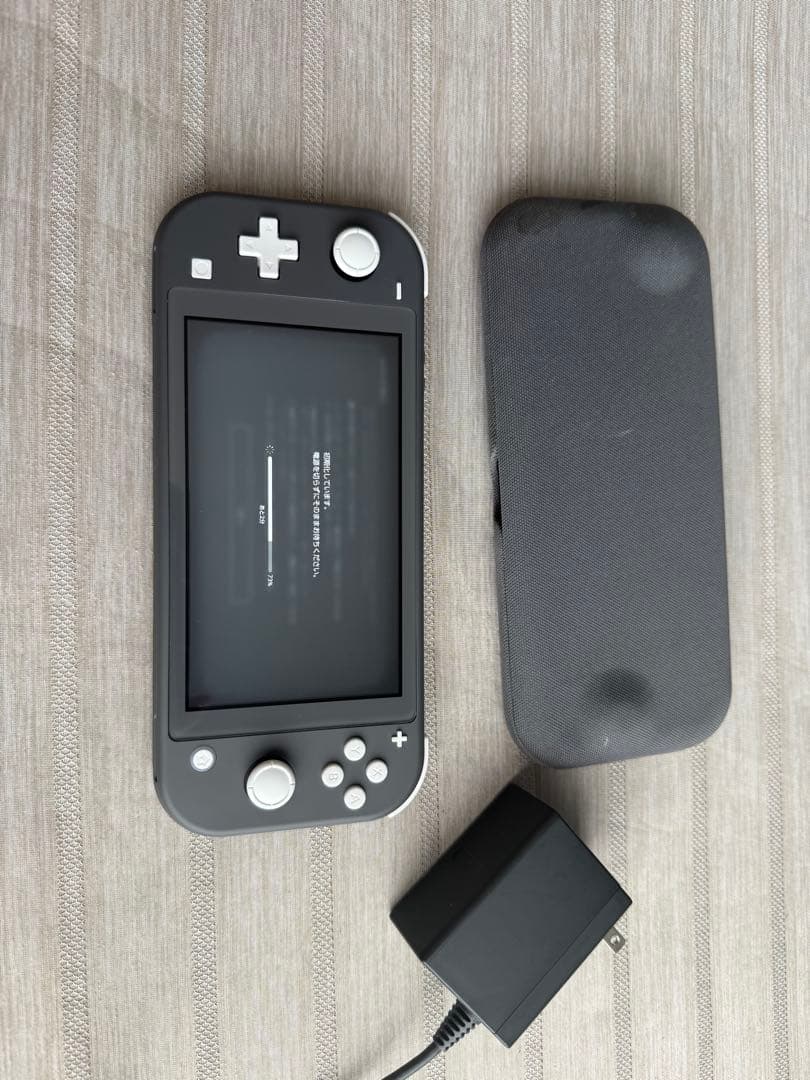 Nintendo Switch Lite グレー 本体　美品　　おまけつき