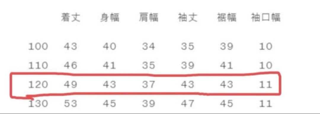 【美品・タグ付】THE NORTH FACE ジャケット 120