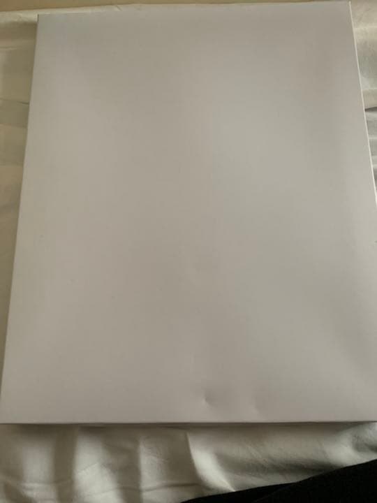 あーる四月は君の嘘 アニプレックス全巻購入特典 キャラファイングラフ