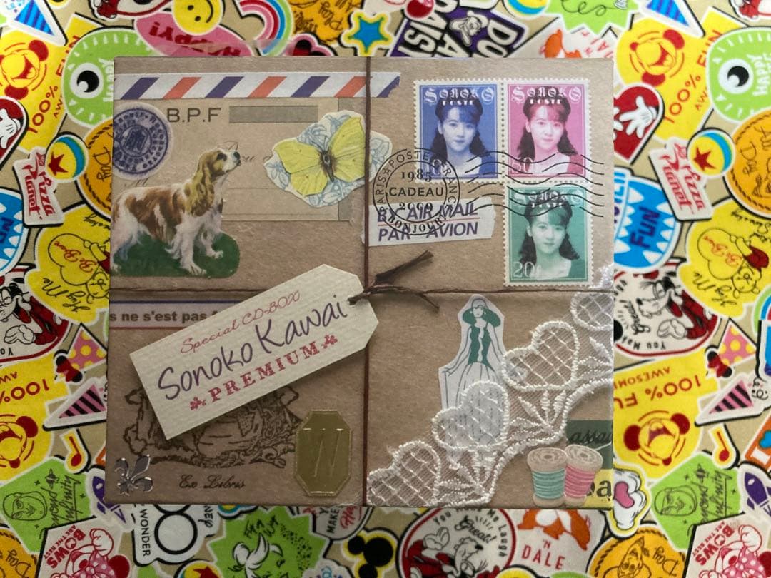 ★匿名配送★　河合その子　プレミアム