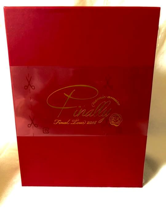 安室奈美恵/namie amuro Final Tour 2018～Final