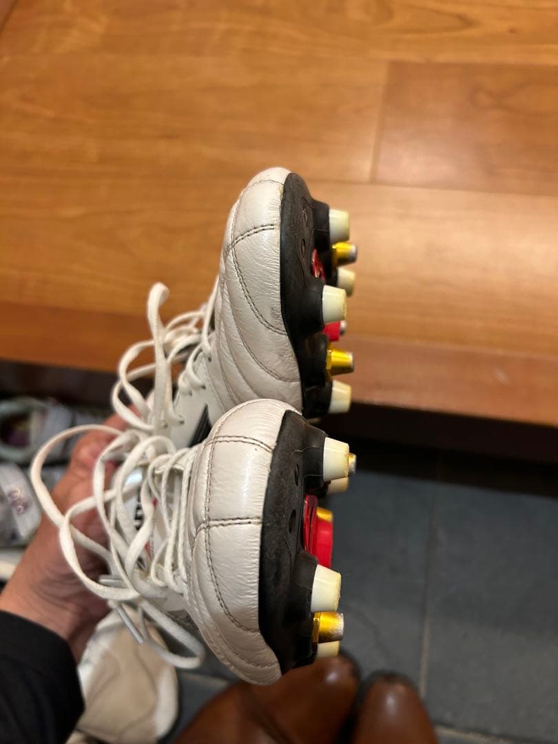 モレリアネオ　sg