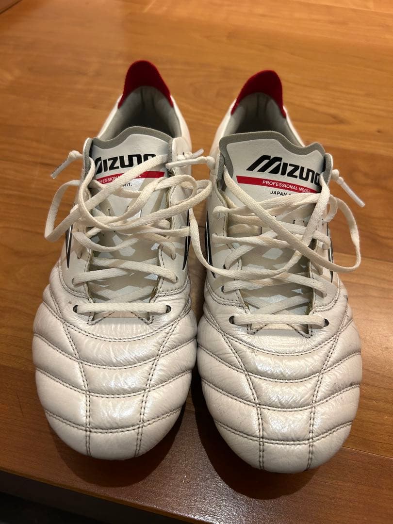 モレリアネオ　sg