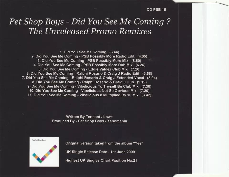 PET SHOP BOYS　Did You See Me Coming　貴重CD