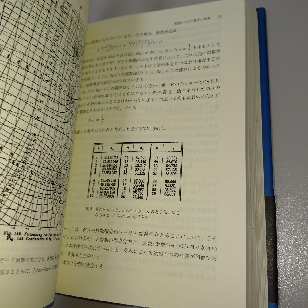 佐藤幹夫の数学