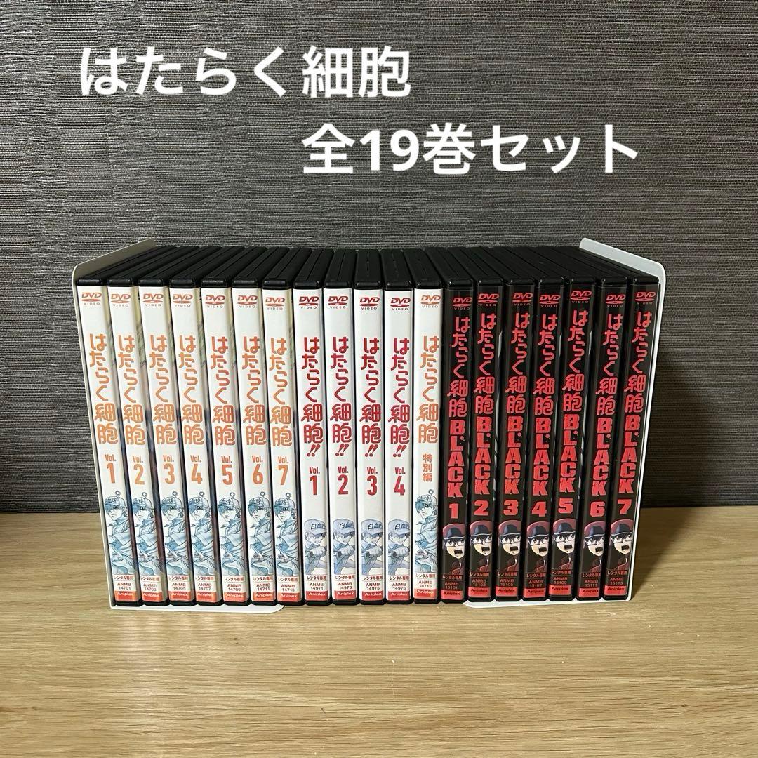 【新品ケース】はたらく細胞　アニメ　DVD 全19巻セット　全巻セット