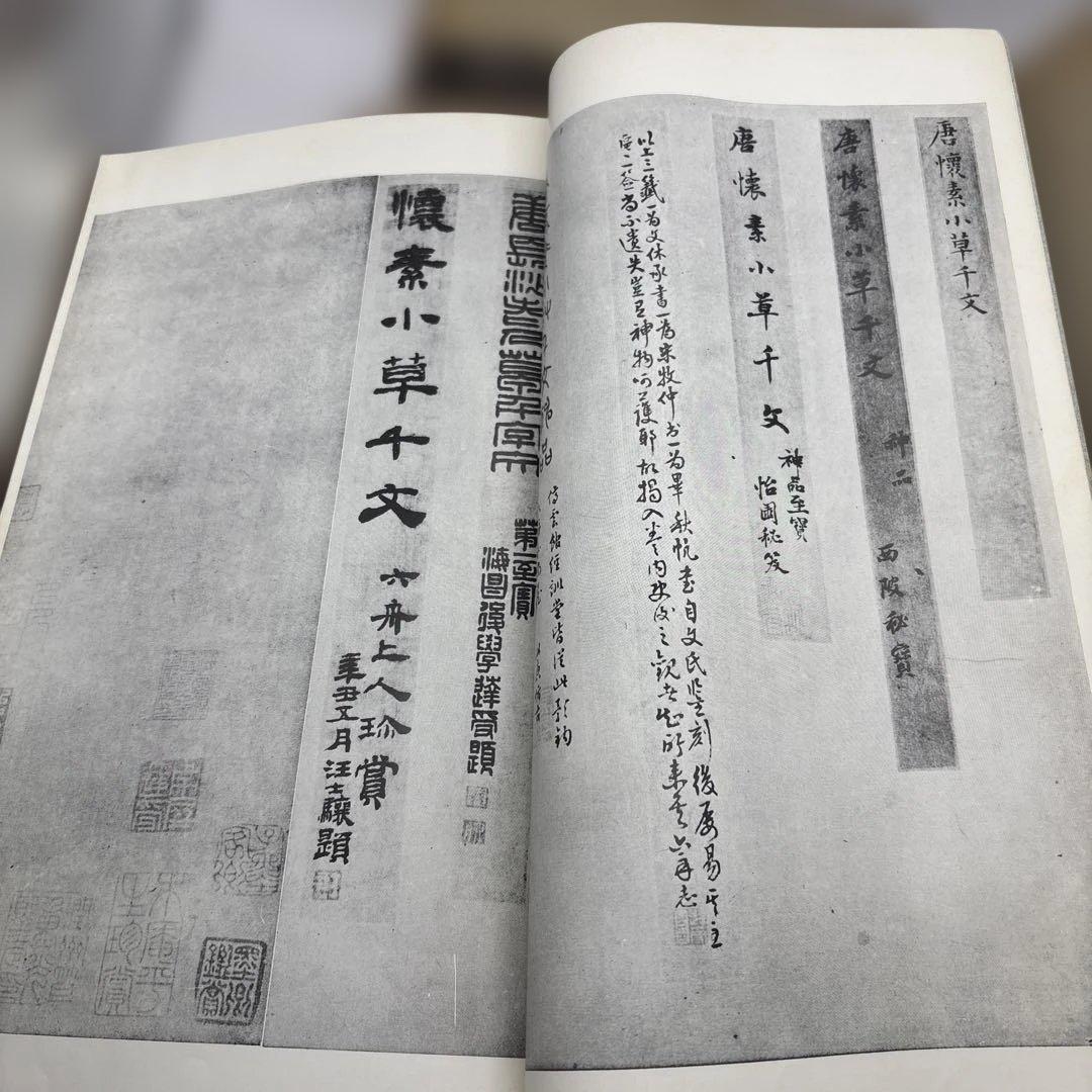 書跡名品叢刊　書譜　二玄社　書道