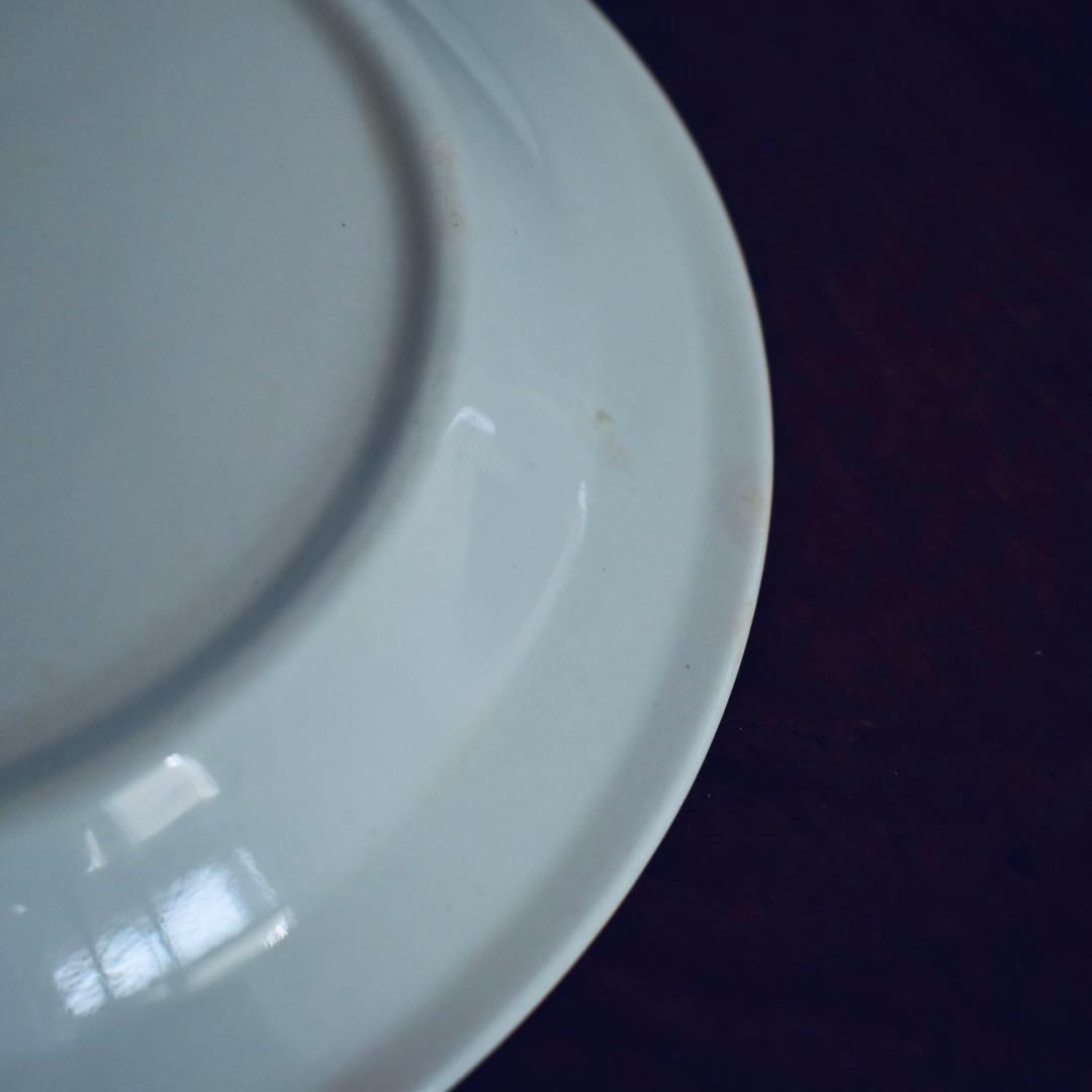 G2: ARABIA Krokus クロッカス グレーリム 17cm 2枚