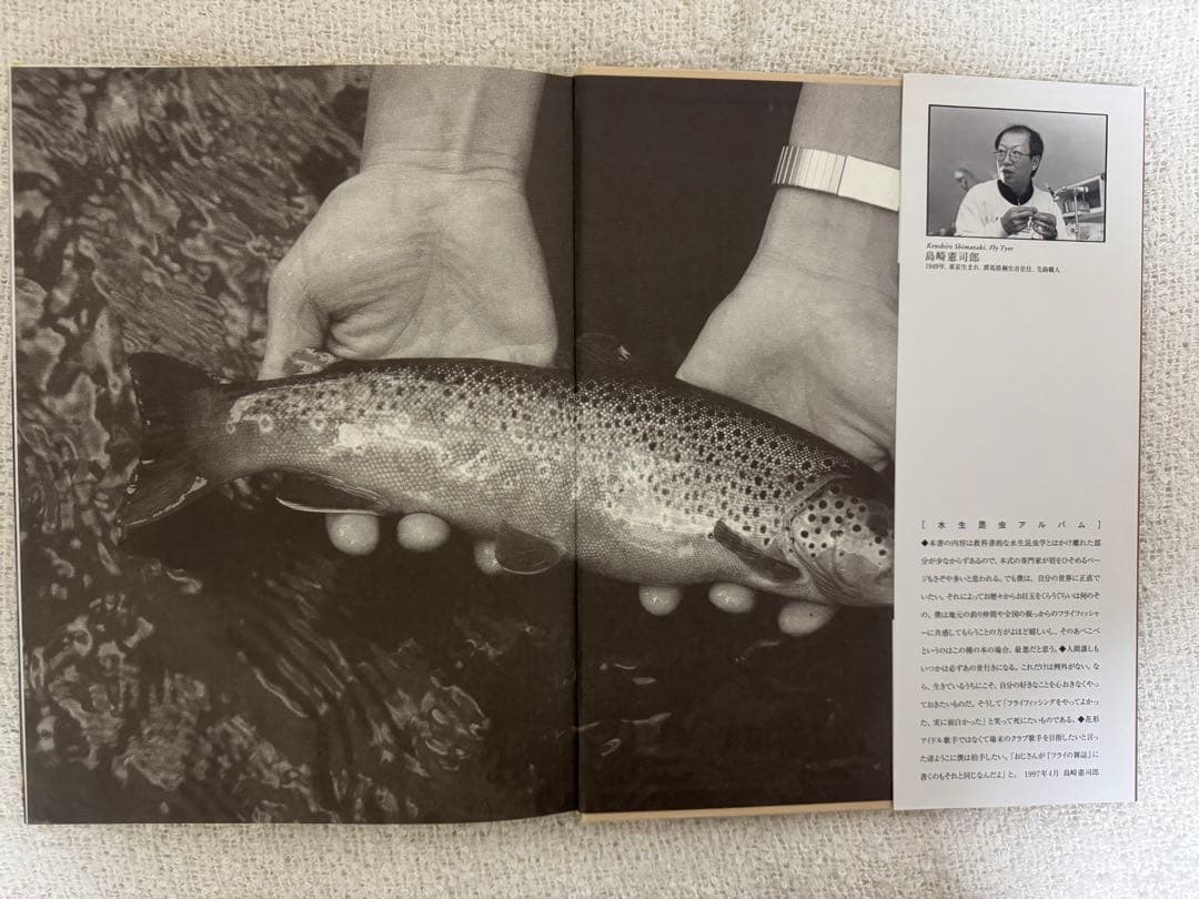 A FLY FISHER'S VIEW 水生昆虫アルバム 島崎憲司郎