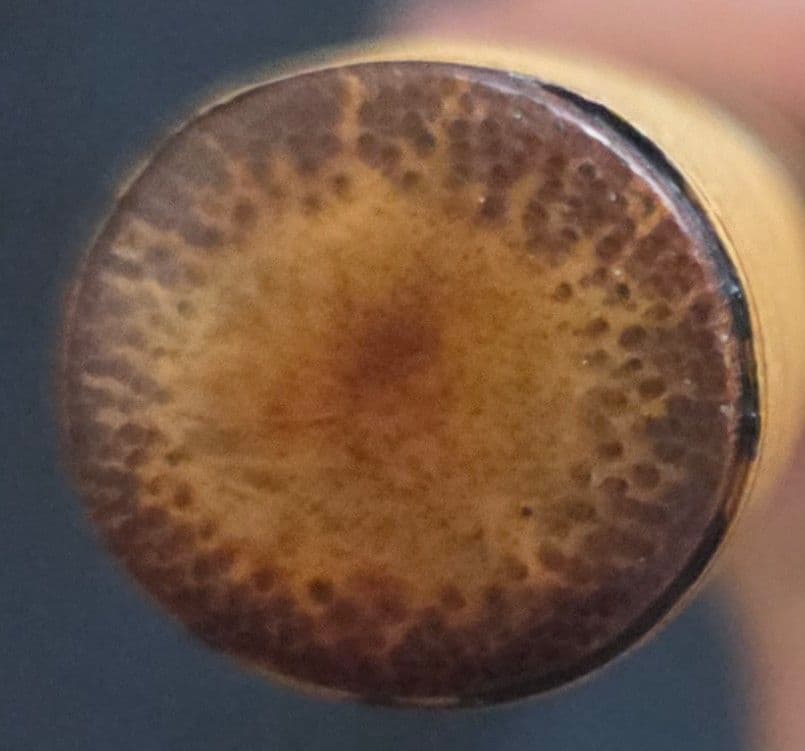 篠笛 朗童管 唄 七本調子