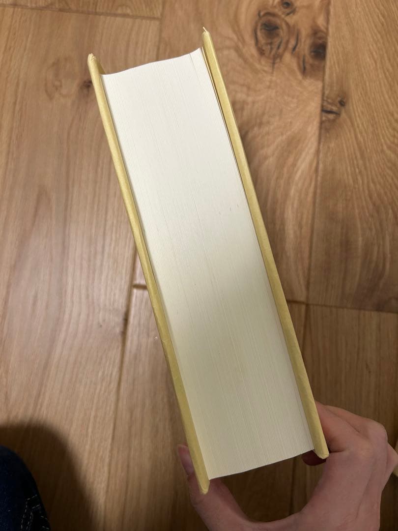 大系租税法　第3版　水野忠恒（著）