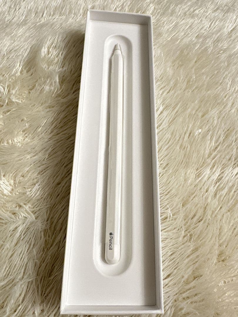 Apple Pencil アップルペンシル 第2世代 A2051