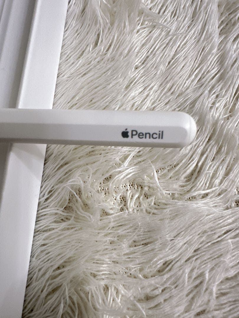 Apple Pencil アップルペンシル 第2世代 A2051