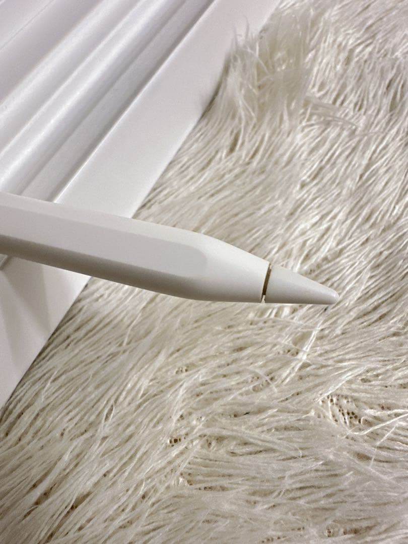 Apple Pencil アップルペンシル 第2世代 A2051